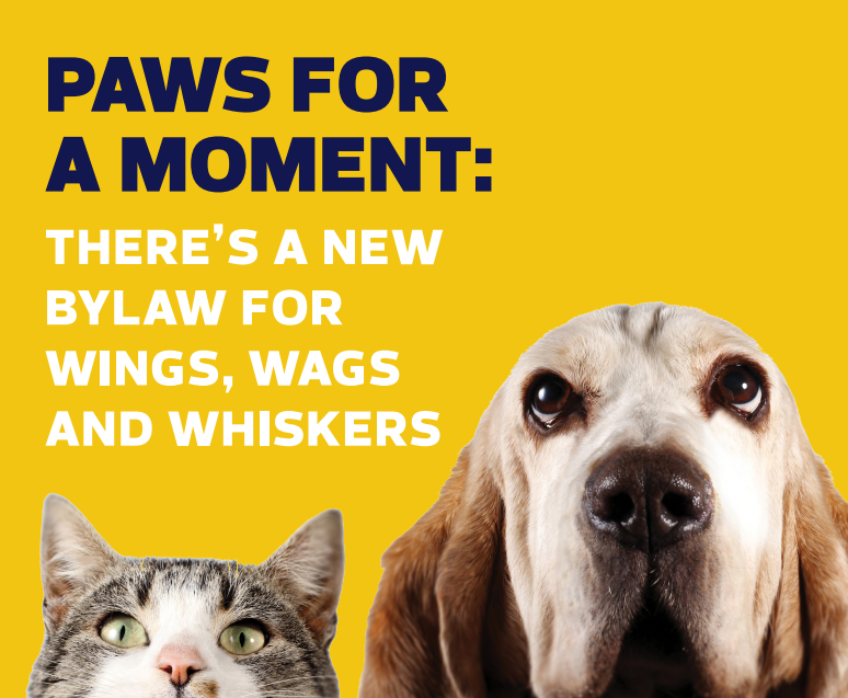 Animal Care and Control Bylaw Update